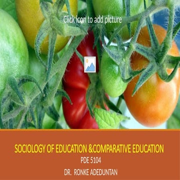 School as A Social System MEADOW HALL COLLEGE OF EDUCATION.pptx