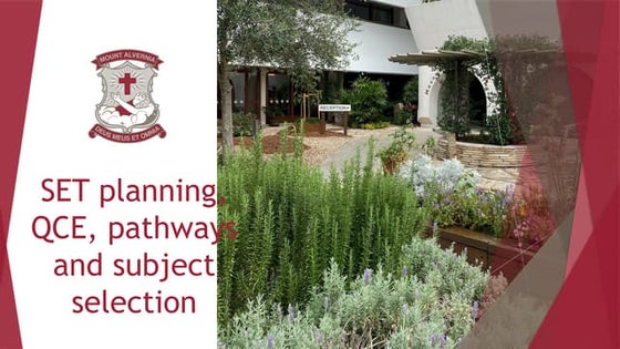 2025 The Senior Landscape and SET plan preparations.pptx