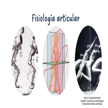 Comprehensive Overview of Joint Physiology and Biomechanics in Human ...