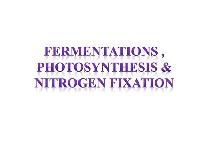 FERMENTATIONS , PHOTOSYNTHESIS & NITROGEN FIXATION 