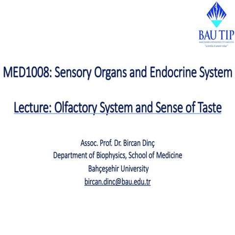 Comprehensive Overview of Olfactory and Gustatory Systems: Mechanisms ...
