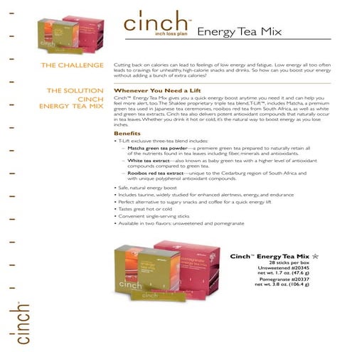 Cinch Plan Talksheet