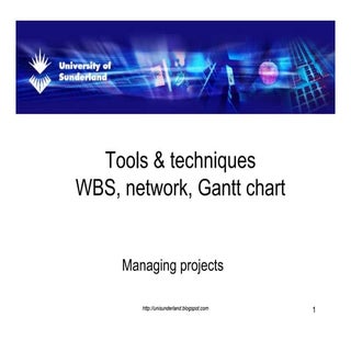 203wbs Network Gantt Chart
