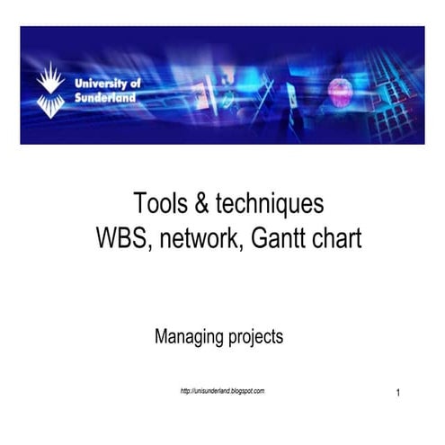 203wbs Network Gantt Chart