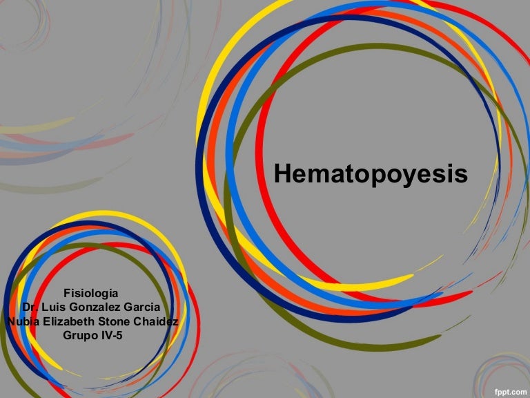 Sistema Hematopoyetico