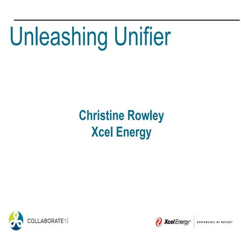 204720 unifier at xcel energy