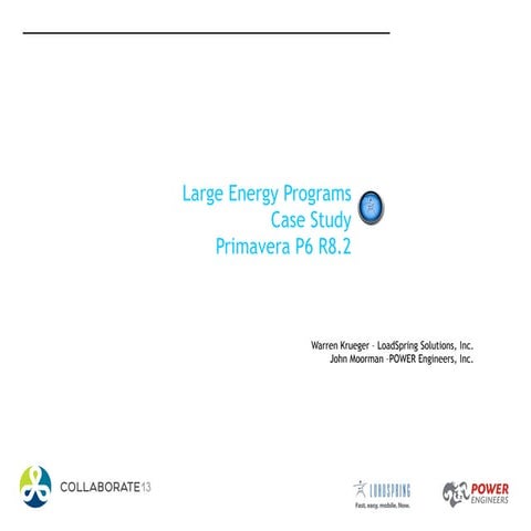 Primavera_large energy program case study