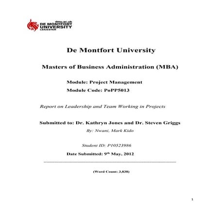 205109494 project-management-report