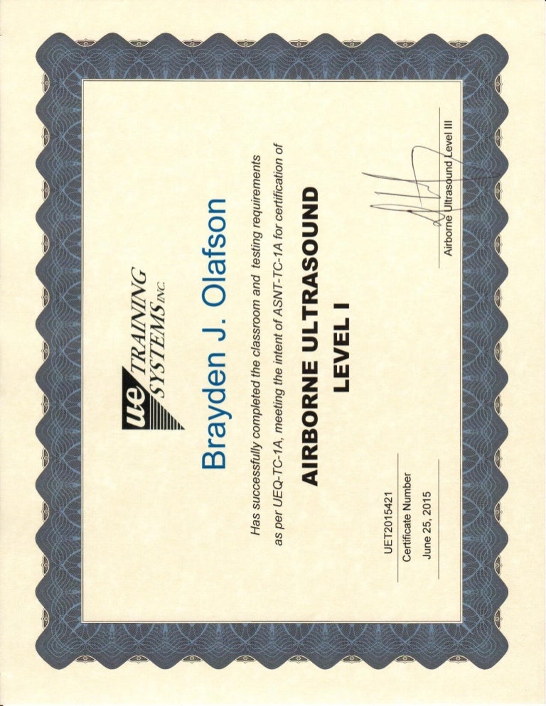 UE Systems Level I Certificate