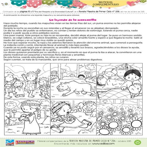 206_mpc_arg_complamentario_web.pdf