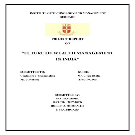 20750541-report-on-wealth-management.doc