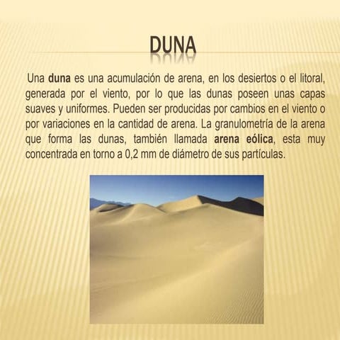 Duna Parabolica Formación De Dunas Costeras | Revista INICIOS