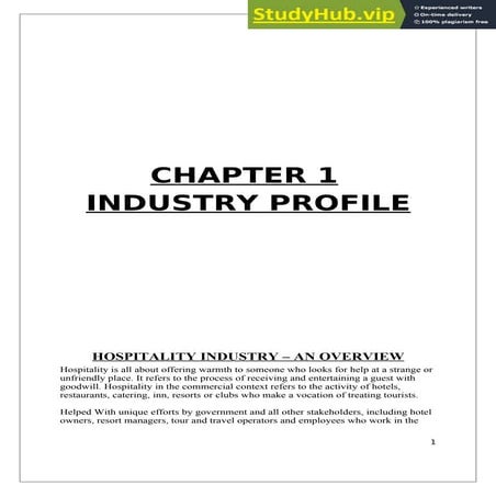 20811971 Hotel Industry Project Report
