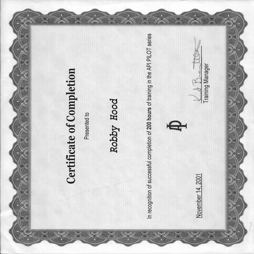 API Pilot Series 200 hours | PDF