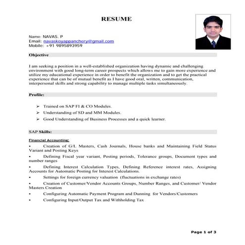 Sap CV PDF
