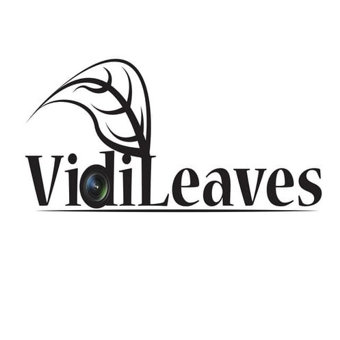 2015 VidiLeaves Logo ADesign