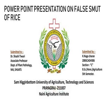 20BSCAGH306 PLPT - 519 false smut.pptx