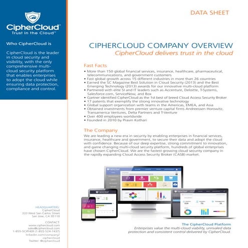 CipherCloud for Salesforce - Solution Overview | PPTX