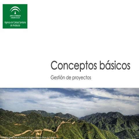 Conceptos básicos de gestión de proyectos | PDF