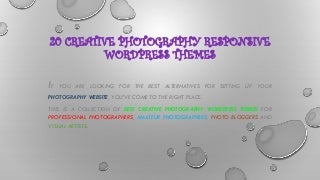 20 Best Creative Photography WordPress Template