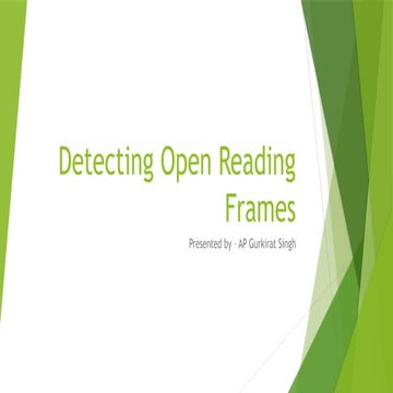 Open Reading Frames | DOCX