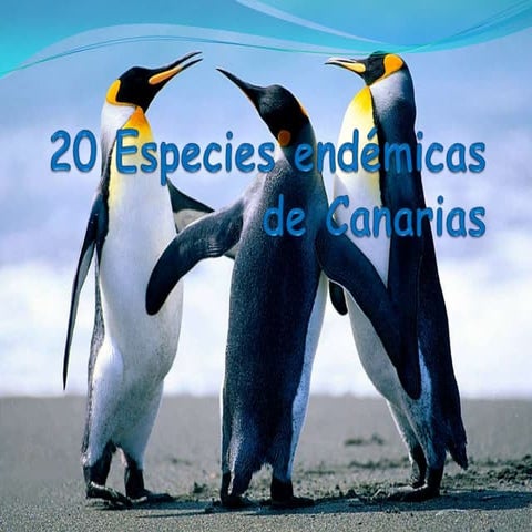 Victor Germán.20 especies endémicas de  Canarias