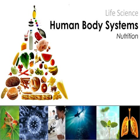 Human Nutrition