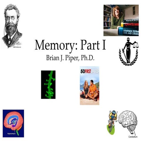 Introductory Psychology: Memory | PPT