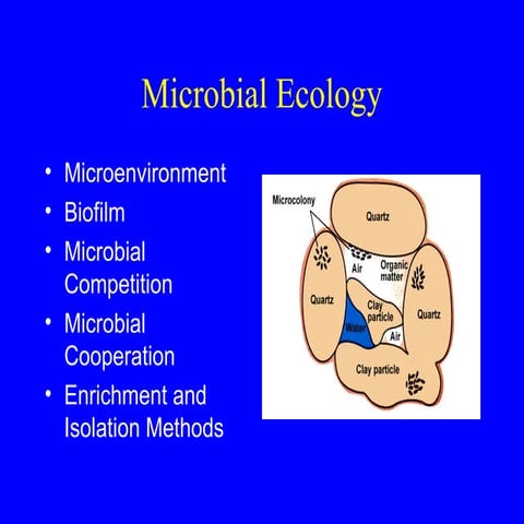 Comprehensive Overview of Microbial Ecology and Techniques in ...