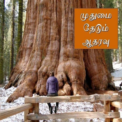 20 mudhumai thedum atharavu