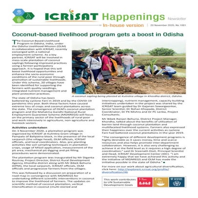 Coconut-based livelihood program gets a boost in Odisha