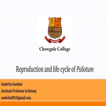 Reproduction and life cycle of Psilotum