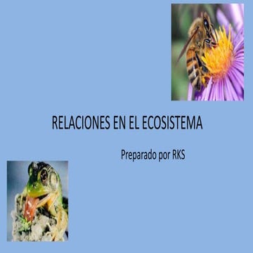 RELACIONES EN EL ECOSISTEMA.pptx