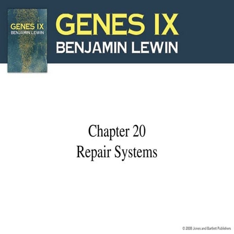 20..._Repair Systems-genes.ppt..............
