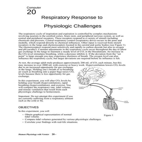 20 respiratory response1