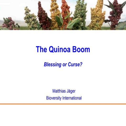 The Quinoa Boom - Blessing or curse?