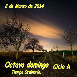 21. octavo domingo de tiempo ordina...