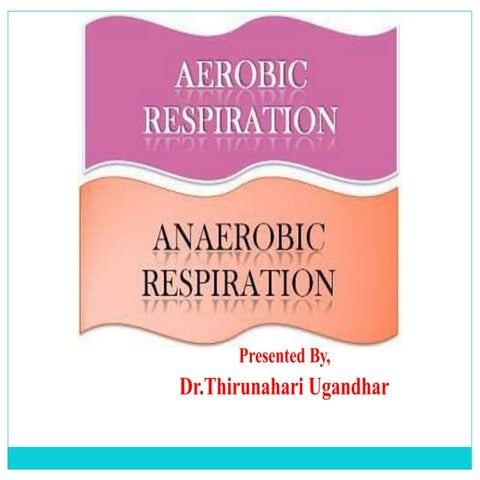 21. aerobic and Aneroboc Respiration