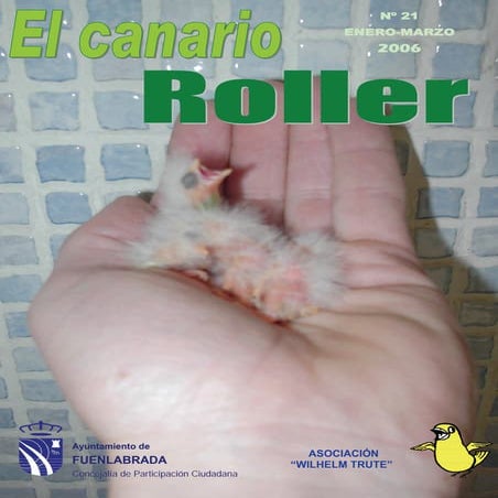 21. el canario roller
