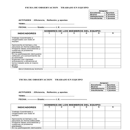 2[1].ficha de observacion