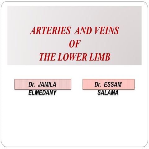 21-Vascular anatomy of the lower limb.pptx