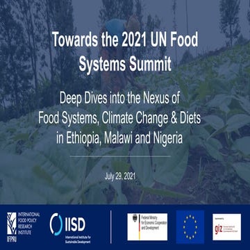UNFSS 2021: Deep Dives into the Nexus of Food Systems, Climate Change and Nut...
