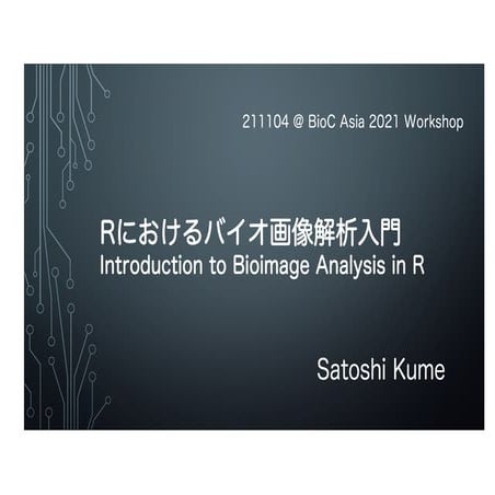 Igor_pro_ODE_japanese_ver1.0 | PDF