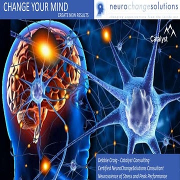 Neuroscience of Resilience and Peak Performace