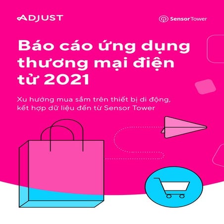 Báo cáo ứng dụng thương mại điện tử 2021