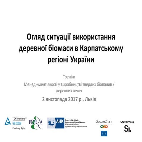 Огляд ситуації використання деревної біомаси в Карпатському регіоні України