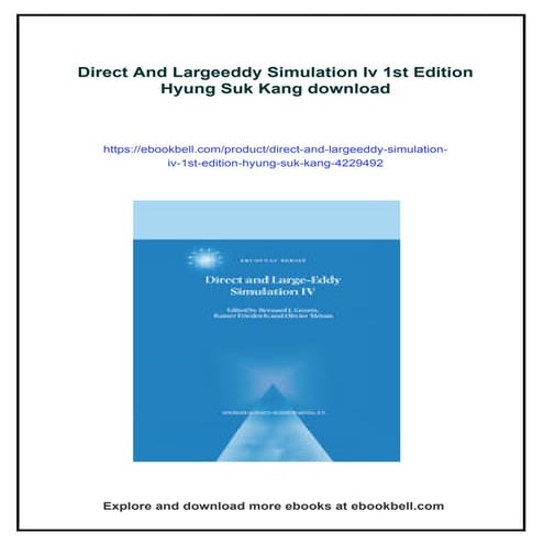 Direct And Largeeddy Simulation Iv 1st Edition Hyung Suk Kang