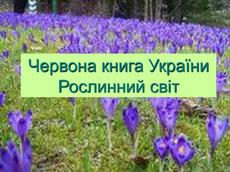 Червона книга України Рослинний світ
