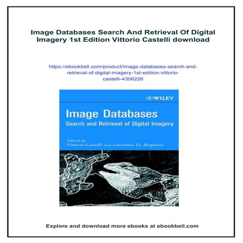 Image Databases Search And Retrieval Of Digital Imagery 1st Edition Vittorio ...
