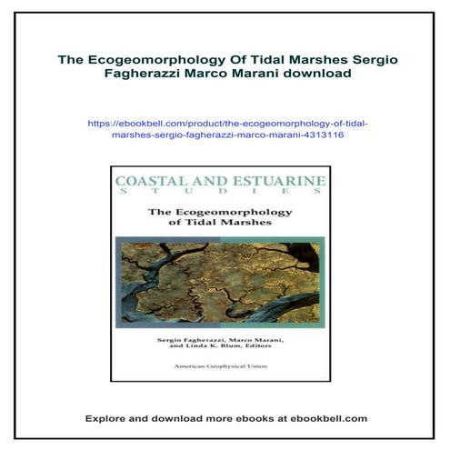 The Ecogeomorphology Of Tidal Marshes Sergio Fagherazzi Marco Marani